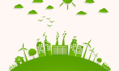 Green Construction Practices Save Money and Protect Our Planet