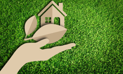 building green home