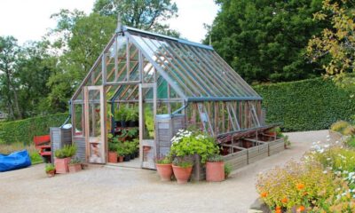 building greenhouse business