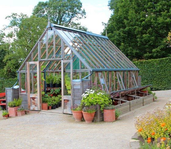 building greenhouse business