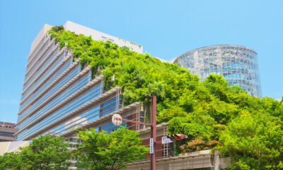 learn about green roofs