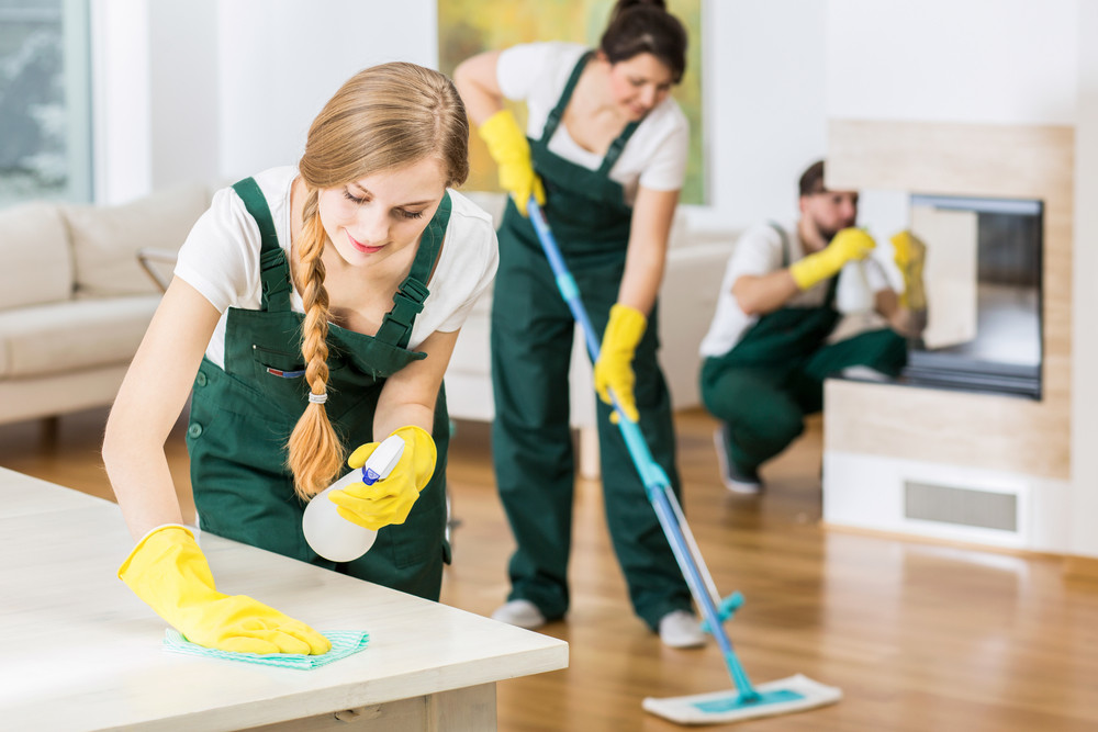 Greenwood House Washing