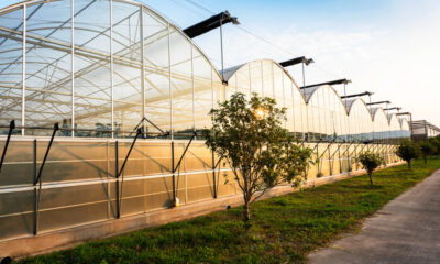 building a greenhouse DIY