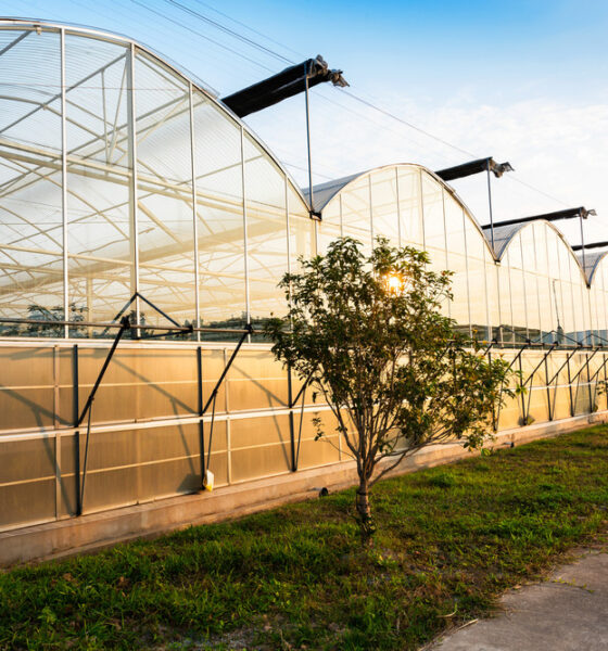 building a greenhouse DIY