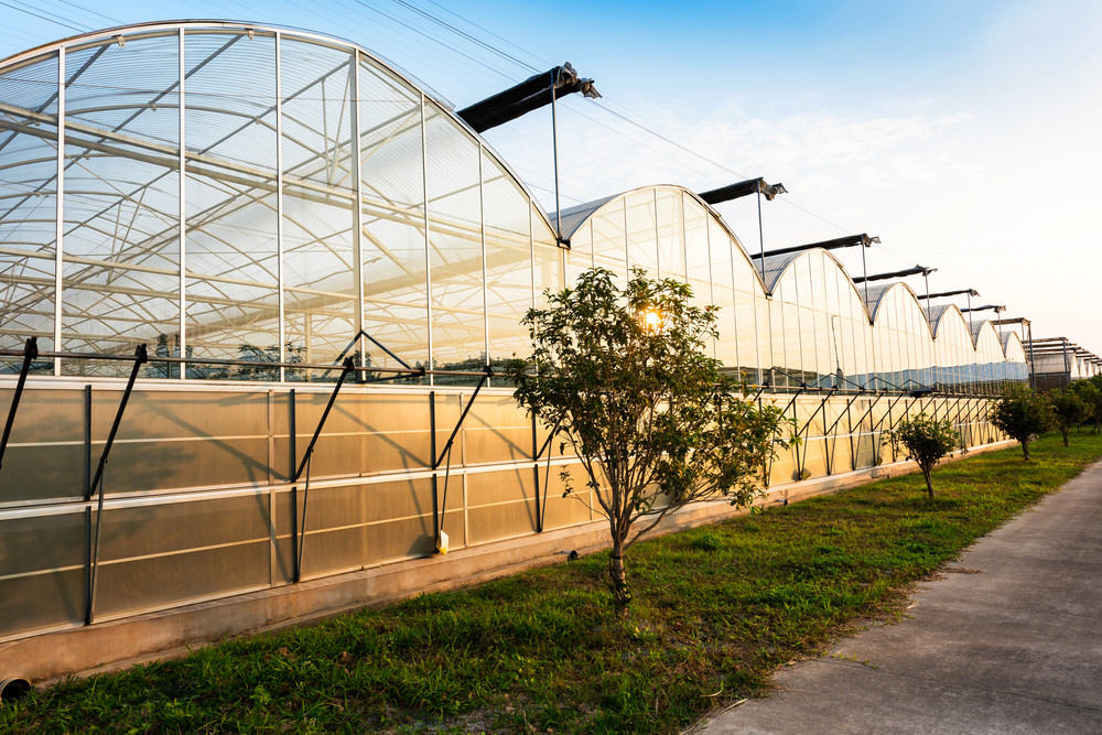 building a greenhouse DIY