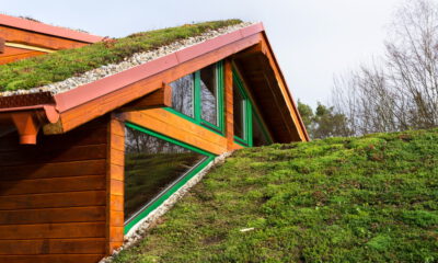 green roofing ideas