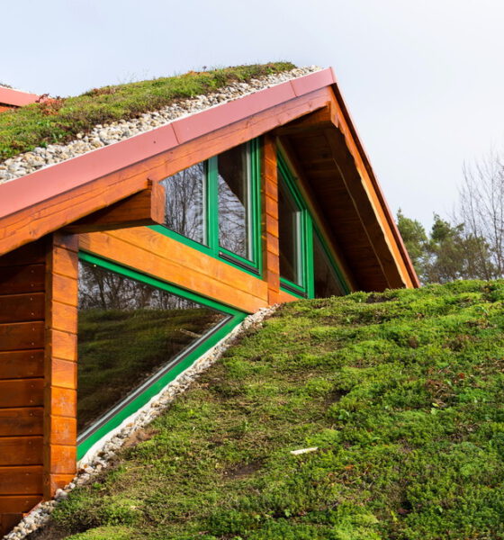 What Green Roofing Materials Are Available Today?