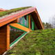 green roofing ideas
