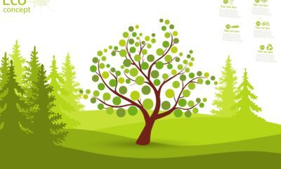 how to grow eco-friendly garden