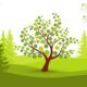 how to grow eco-friendly garden