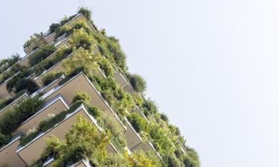 sustainable architecture and sustainable design books