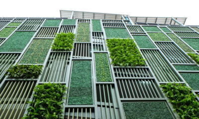 sustainable development requires green businesses
