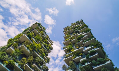 green building trends