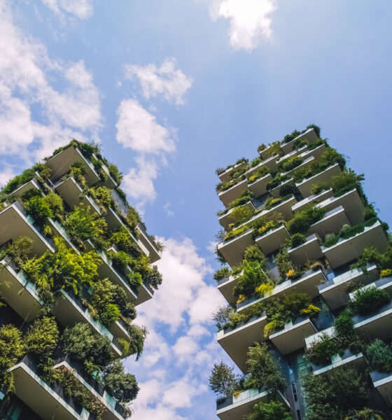 green building trends