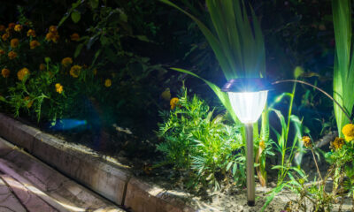 outdoor solar lights