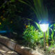 outdoor solar lights