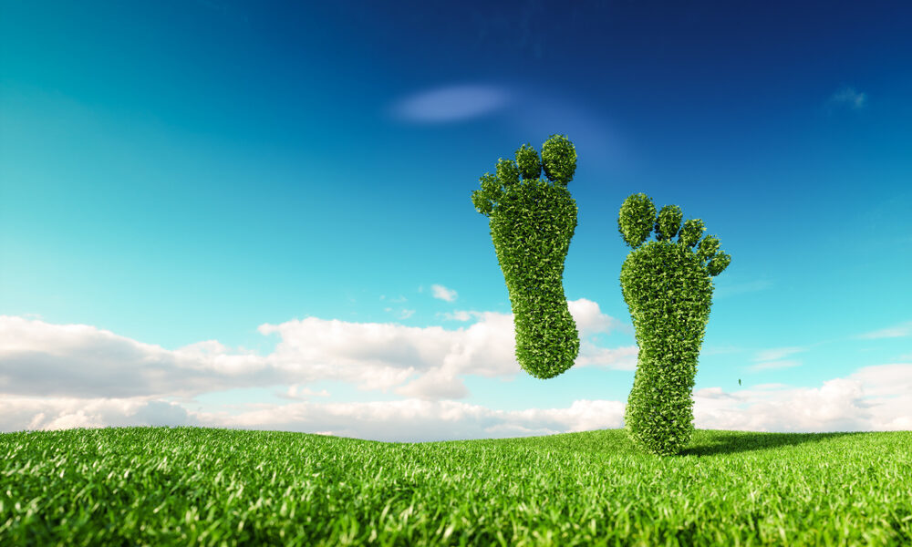 importance of an eco-friendly garden for sustainable building
