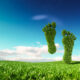 importance of an eco-friendly garden for sustainable building