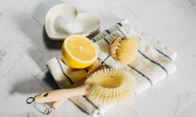 natural cleaning for an eco-friendly home