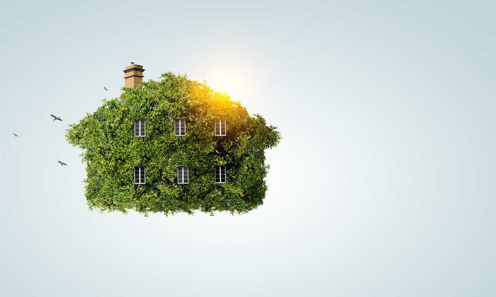 essentials for eco-friendly construction companies
