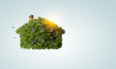 essentials for eco-friendly construction companies