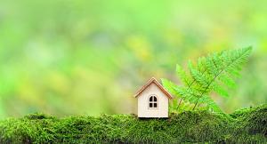 10 Things to Know About Zero-Carbon Home Building