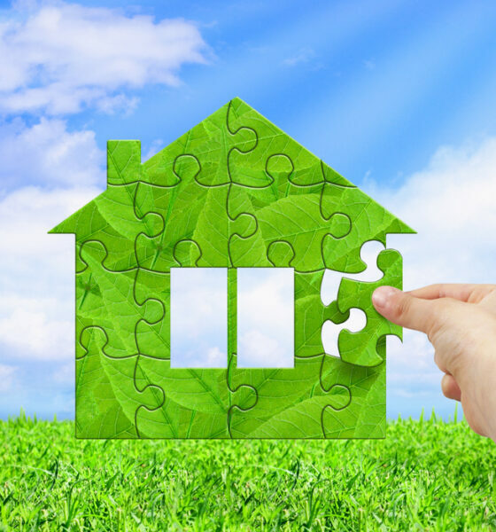 make your home greener