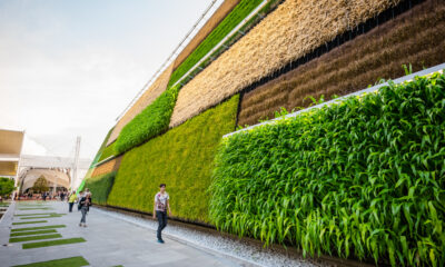 sustainable architecture