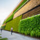 sustainable architecture
