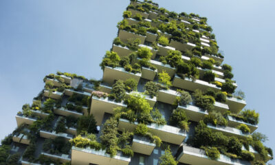 eco-friendly tips for contracting businesses