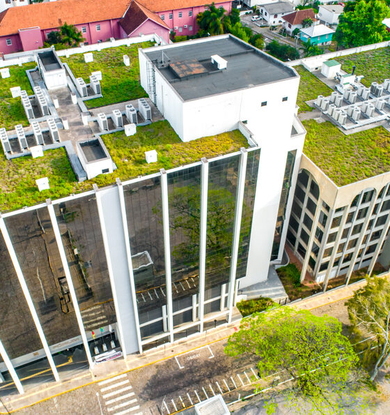 choosing between green roofs and solar panels