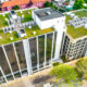 choosing between green roofs and solar panels