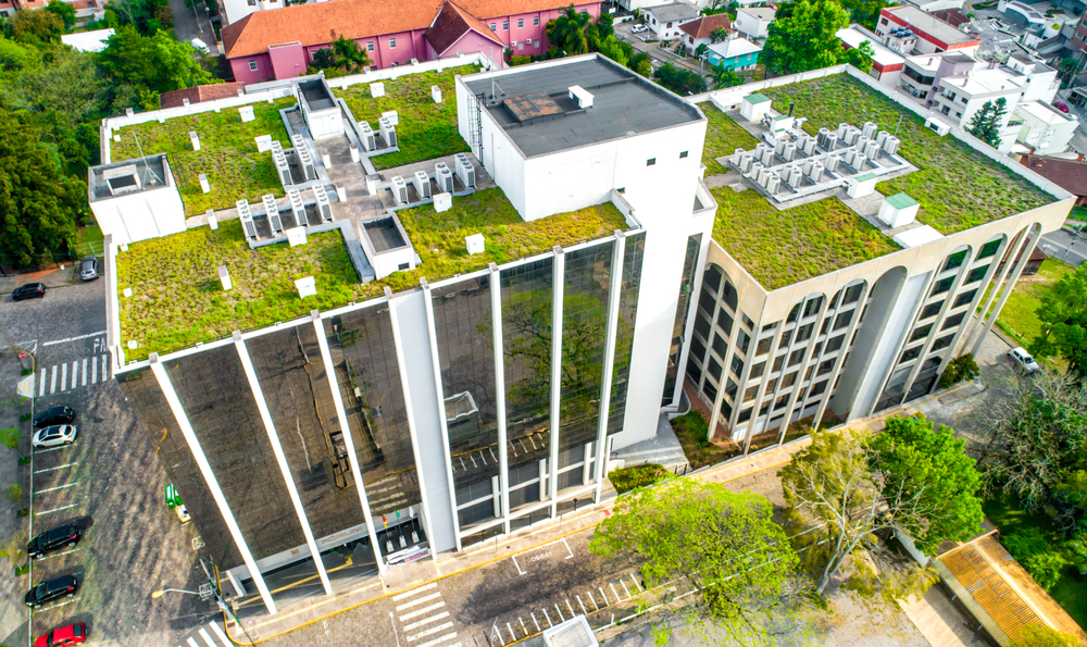 choosing between green roofs and solar panels