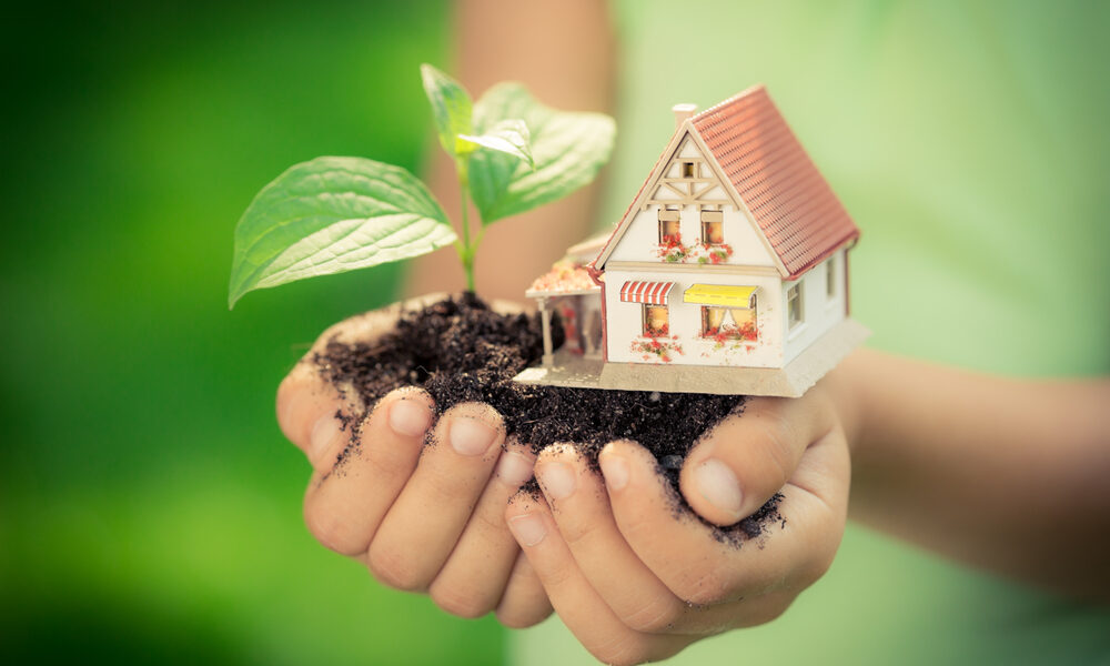 eco-friendly renovations for commercial buildings