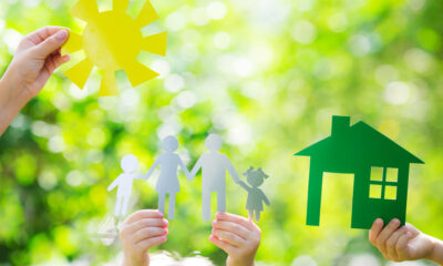 eco-flipping is the next big thing in property development