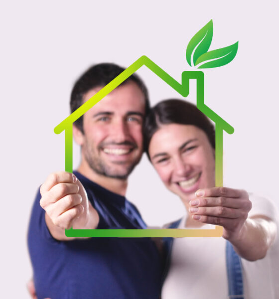 what you should look for when buying an eco-friendly house