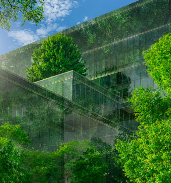 tips to create an eco-friendly office building