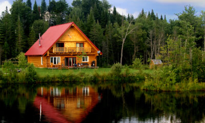 log cabins are eco-friendly options for people looking for new homes
