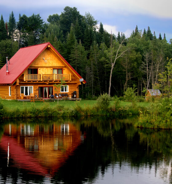 log cabins are eco-friendly options for people looking for new homes