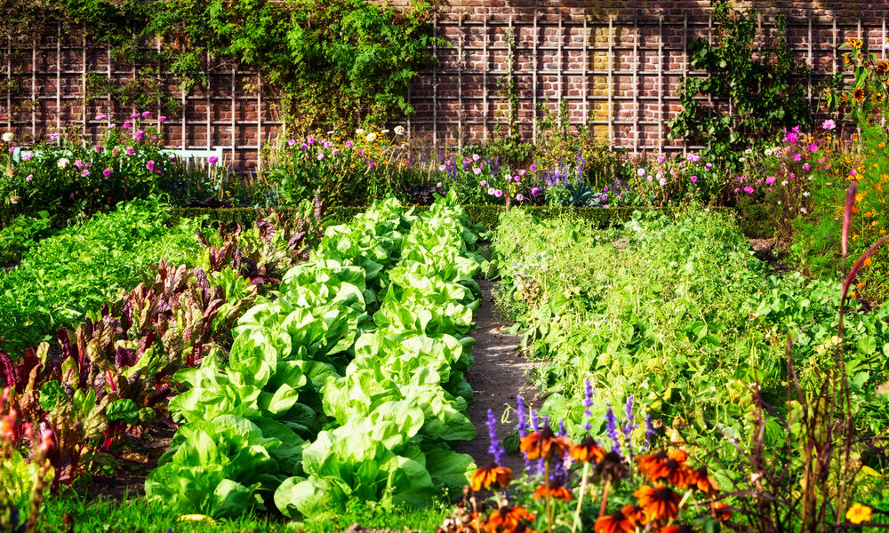 build an eco-friendly structure for your garden
