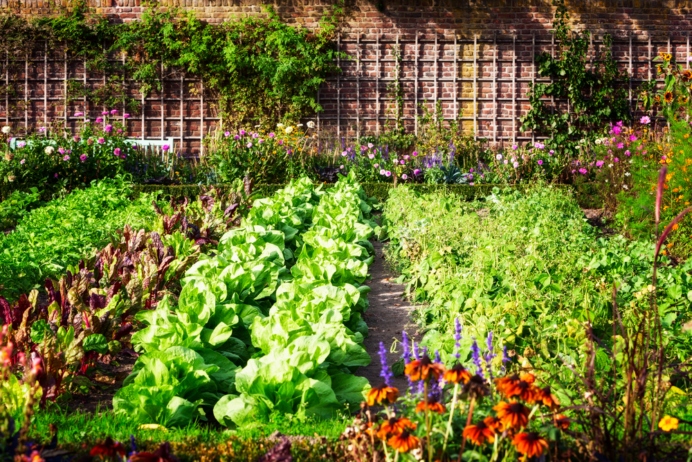 build an eco-friendly structure for your garden