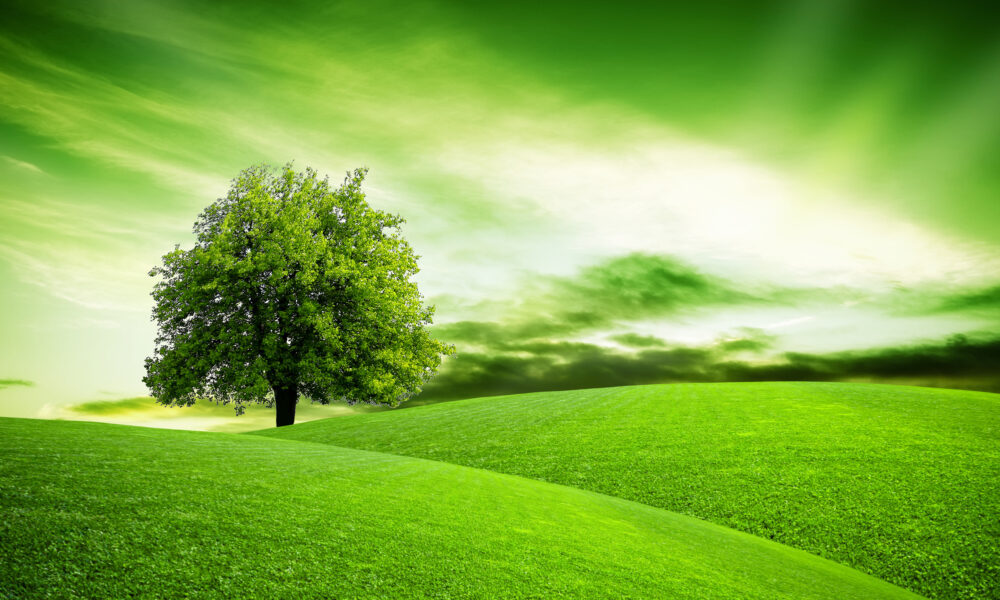green living practices