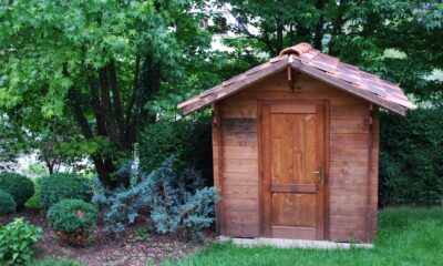 create an eco-friendly shed for your home