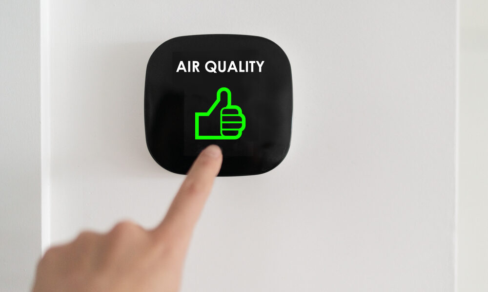 eco-friendly ways to improve air quality