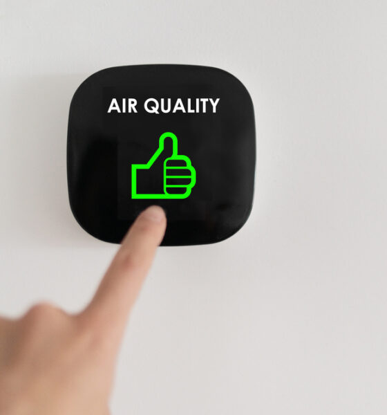 eco-friendly ways to improve air quality