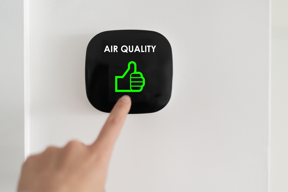 eco-friendly ways to improve air quality