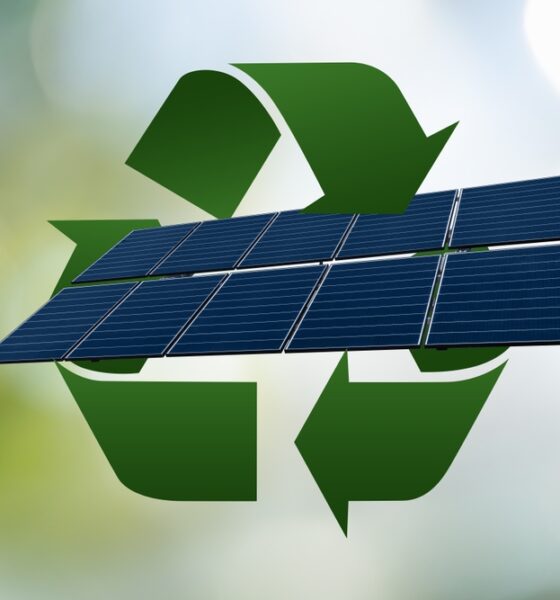 recycle solar panels